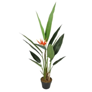 www.viverofiore.com.ar wsp 2215790666